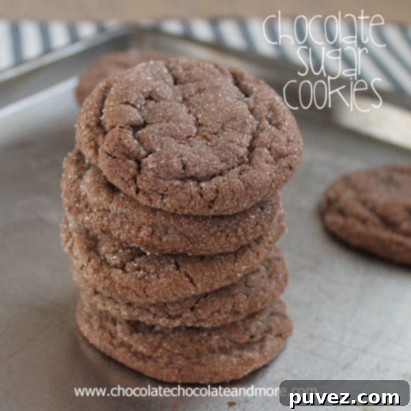 A selection of freshly baked chocolate sugar cookies on a white background