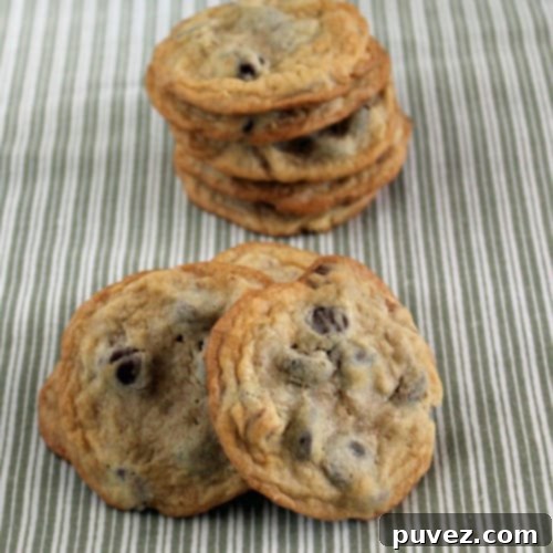 Chocolate Chip Pecan Cookies