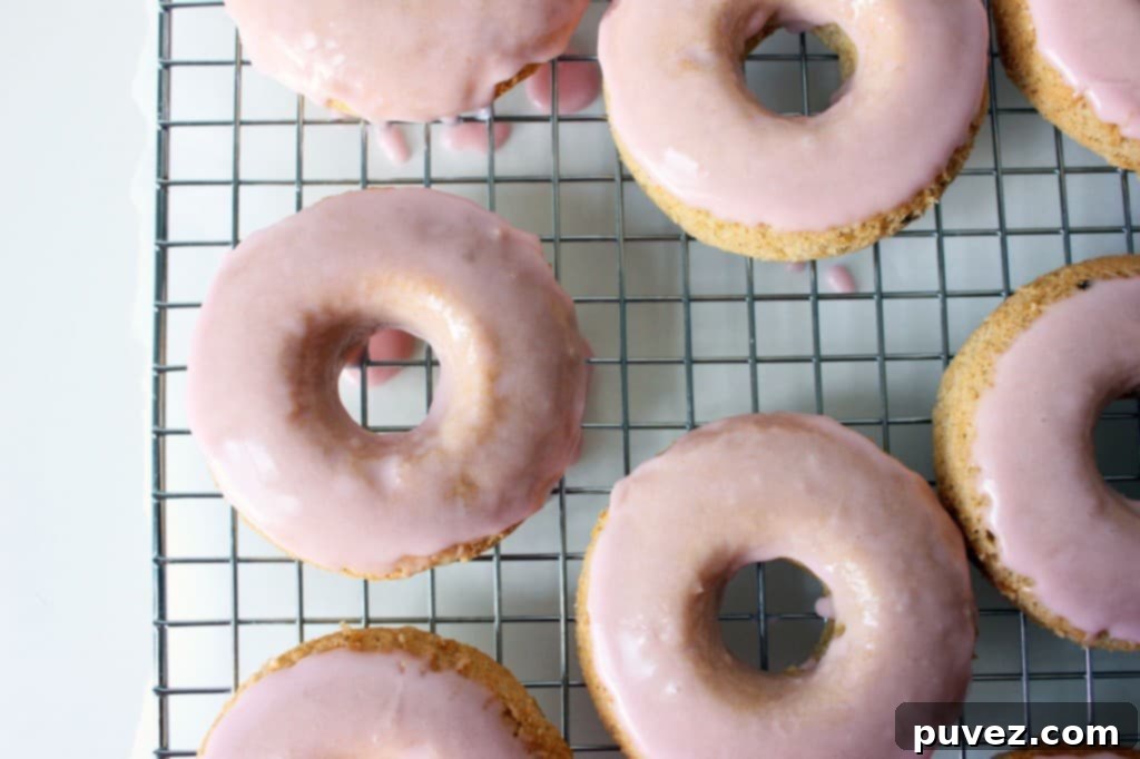 Rhubarb Vanilla Bean Donuts with a delicate pastel pink glaze.
