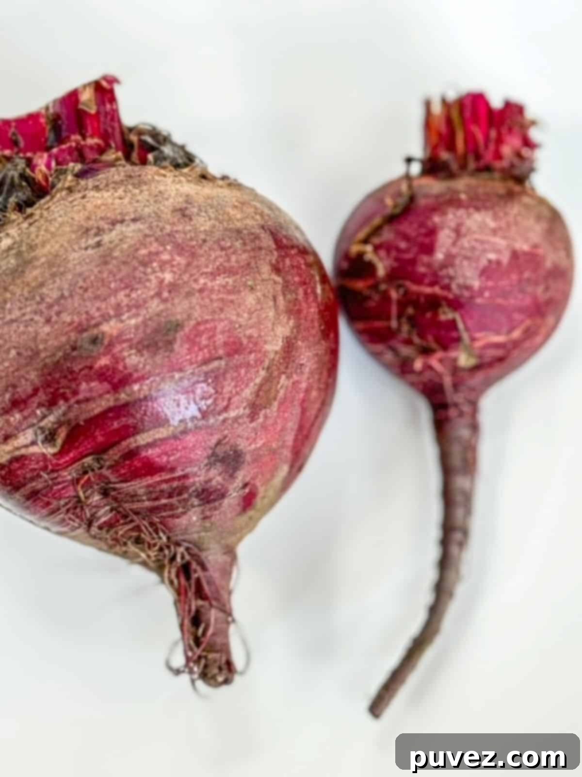 One very large beet next to a medium sized beet.