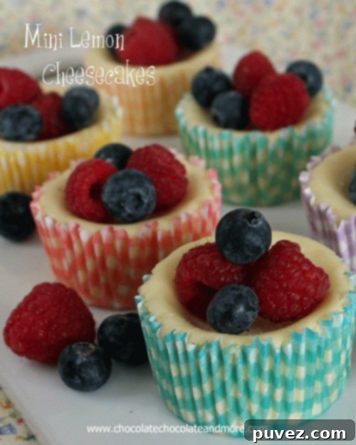 Fresh Berry and Zesty Lemon Cheesecake Bites 2 Beautiful Mini Lemon Cheesecakes topped with an assortment of fresh berries