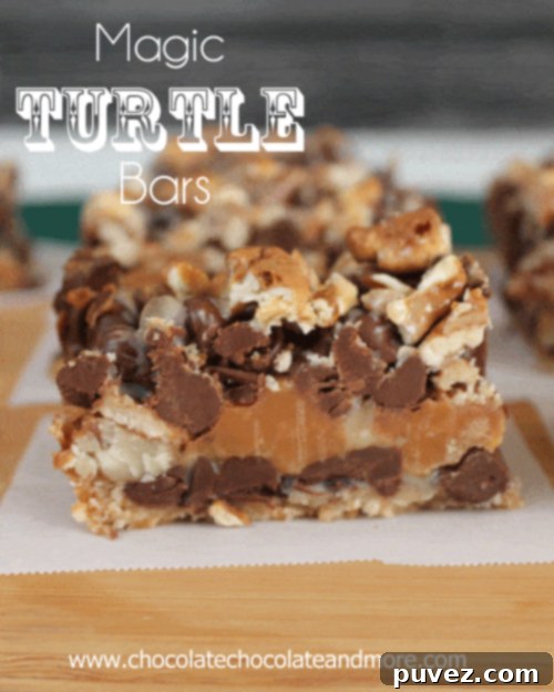 Magic Turtle Bars final image for Pinterest