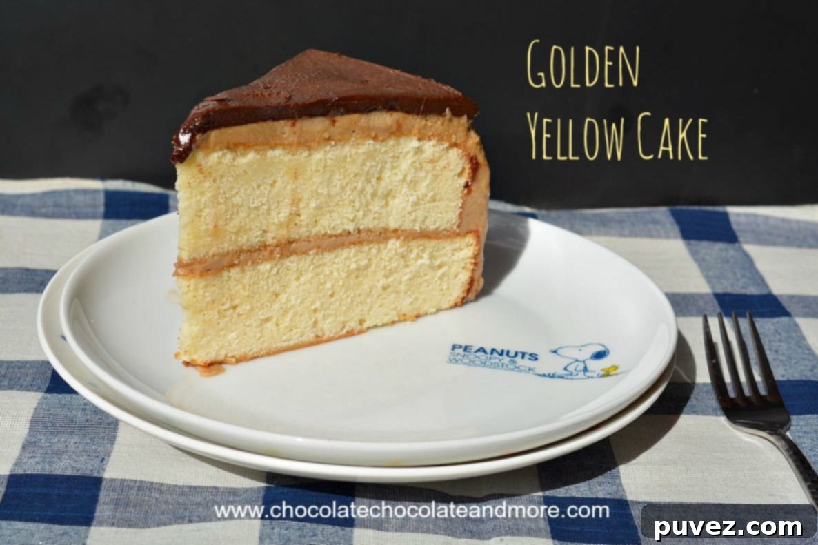 Golden Yellow Layer Cake with Caramel Icing and Dark Chocolate Ganache