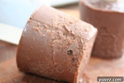 Homemade Nutella Fudge Pops