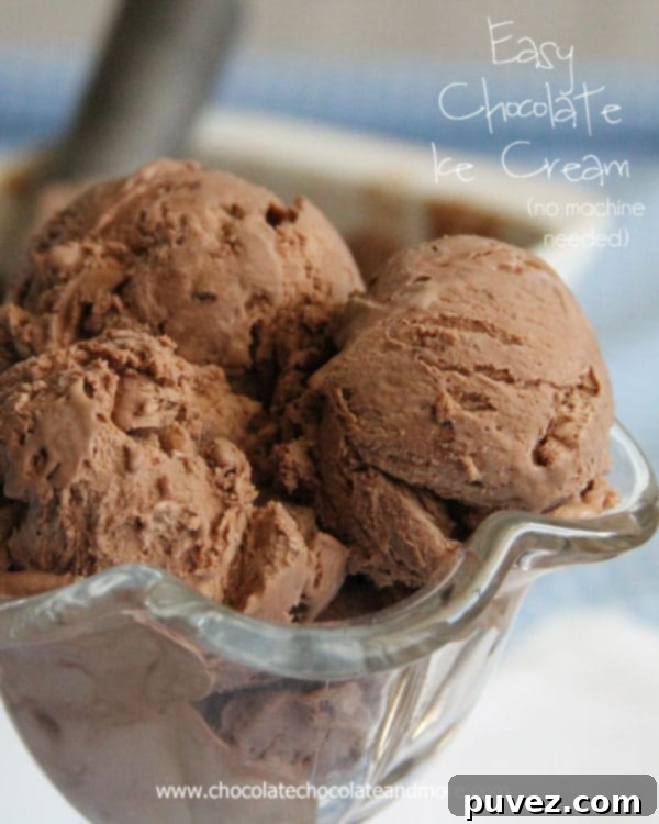 Rich and creamy no-churn chocolate ice cream, ready to serve