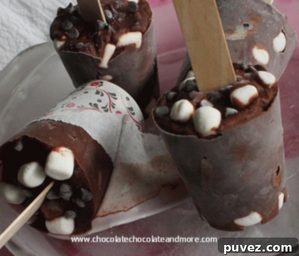 Rocky Road Pudding Popsicles with chocolate, marshmallows, and almonds