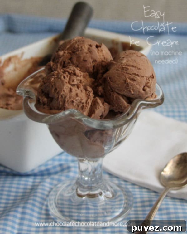 No-churn chocolate ice cream in a serving bowl, perfectly scooped
