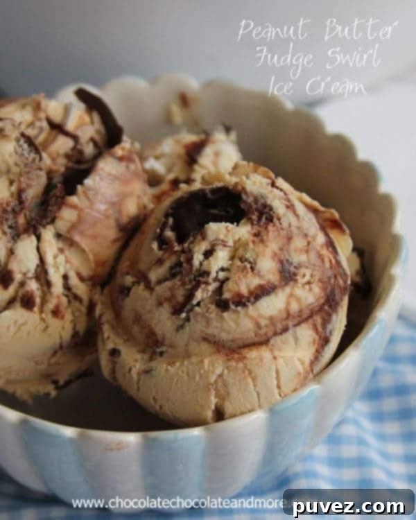 Peanut Butter Fudge Dream Swirl 2 Peanut Butter Fudge Swirl Ice Cream