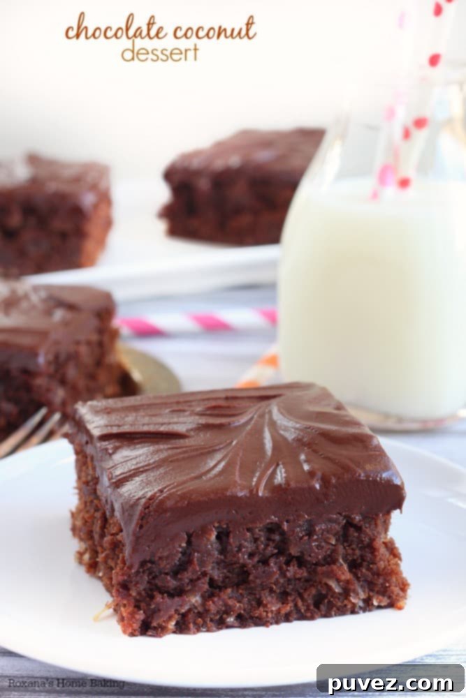 Double Chocolate Coconut Bars Pinterest