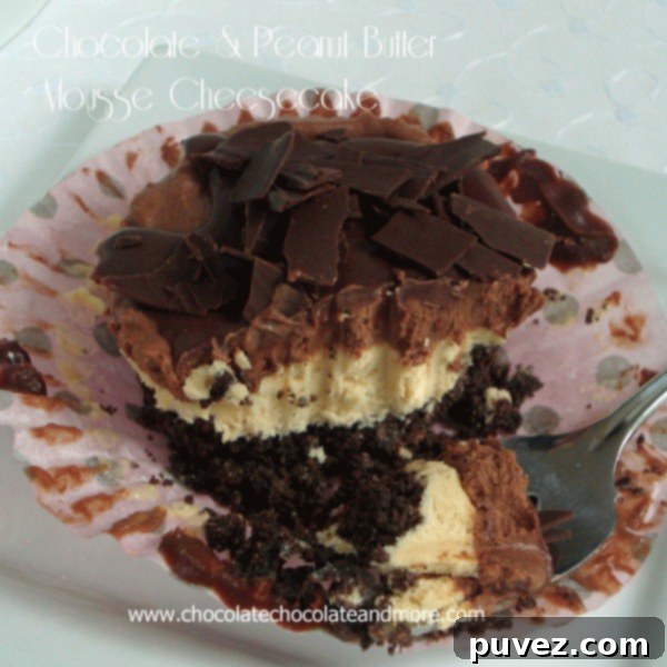 Chocolate & Peanut Butter Mousse Cheesecake - a light and decadent no-bake dessert