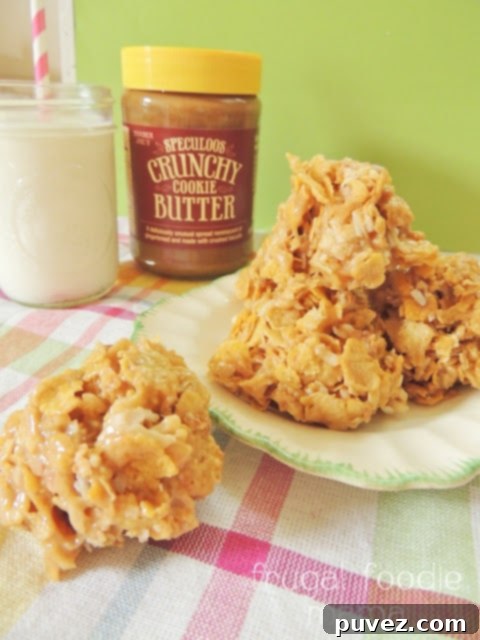 Cookie Butter Coconut Haystack Cookies - crunchy, chewy, and flavorful no-bake cookies