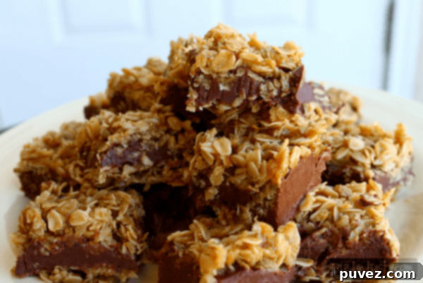 No Bake Chocolate Oat Bars - wholesome, rich, and satisfying quick treats