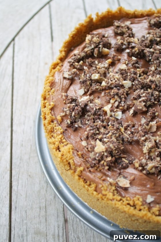 No Bake Nutella Cheesecake - rich, decadent, and easy for Nutella lovers
