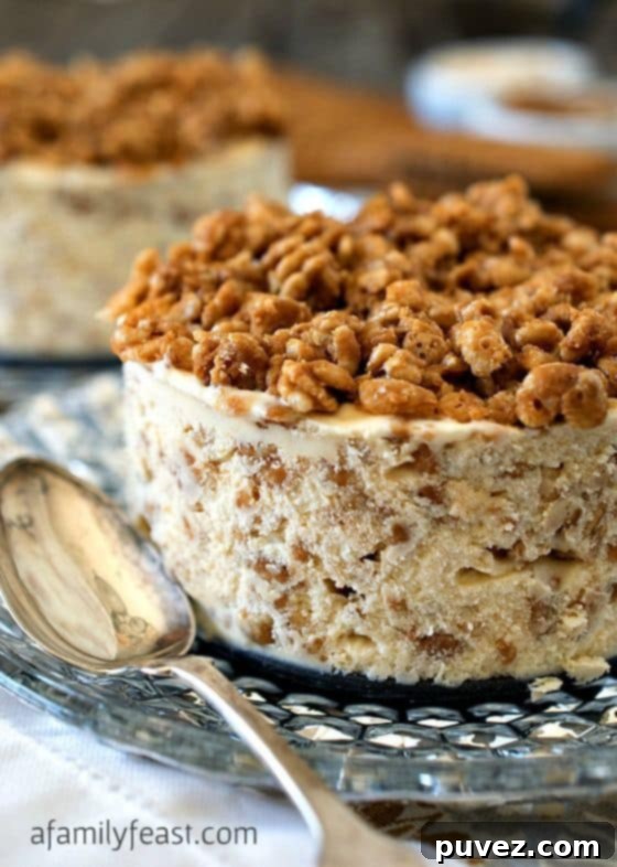 Biscoff Crunch Ice Cream Cake - layers of ice cream and crunchy Biscoff cookies