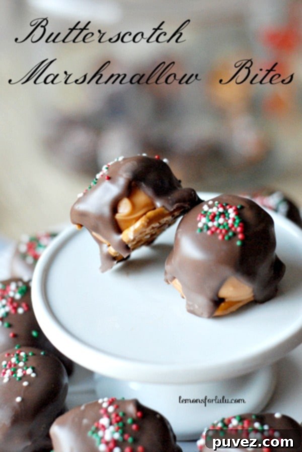 Butterscotch Marshmallow Bites - chewy, sweet, and addictive no-bake confections