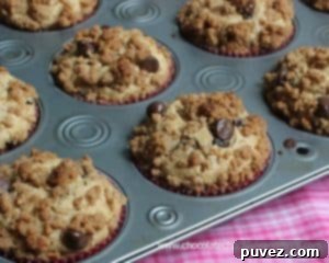 Chocolate Chip Graham Cracker Muffins, a delightful blend of cookie and muffin for breakfast.