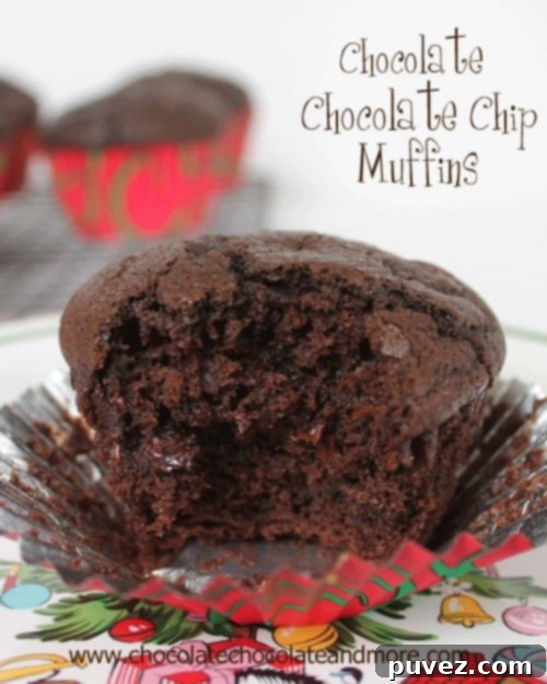 The Ultimate Chocolate Chocolate Chip Muffins, a double chocolate treat perfect with coffee.