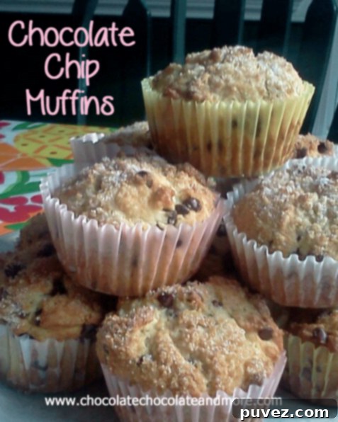Classic Chocolate Chip Muffins, a simple yet beloved treat.