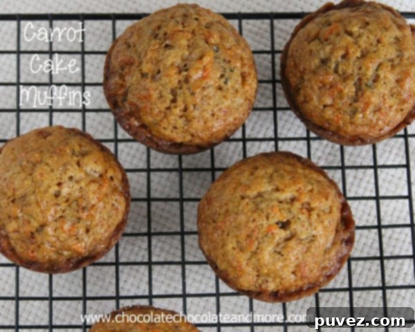 Freshly baked Carrot Cake Muffins, still warm from the oven.