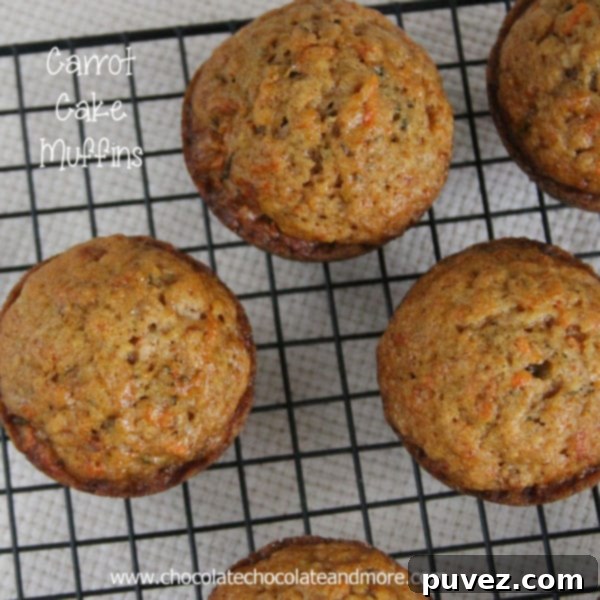 Carrot Cake Muffins with Cream Cheese Icing - a delightful blend of sweet and spice.