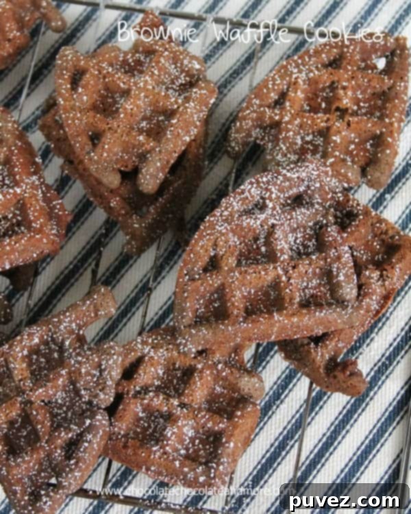Waffled Brownie Cookies 2 Perfectly cooked Brownie Waffle Cookies, ready to be served