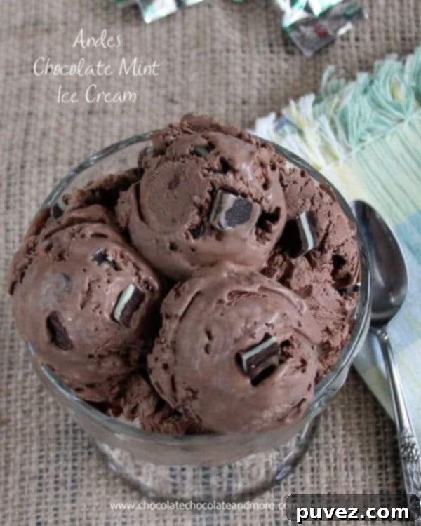 Andes Chocolate Mint Ice Cream Pin Image