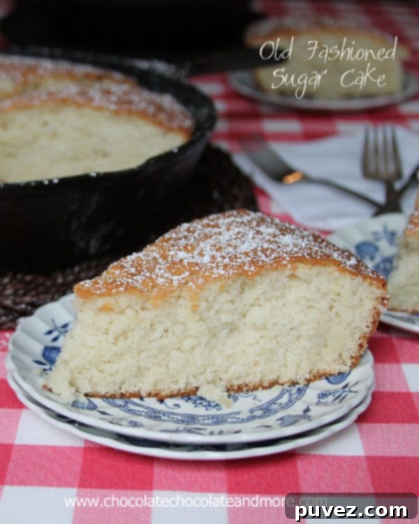 Light and Flavorful Old Fashioned Sugar Cake baked in a cast iron skillet, no icing needed