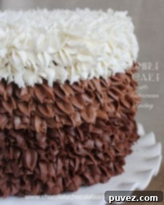 Ombre Cake with Buttercream Frosting, featuring beautiful vanilla and chocolate layers