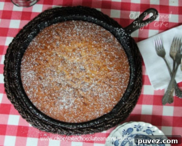 Collection of well-loved cast iron skillets, hinting at a passion for traditional cooking