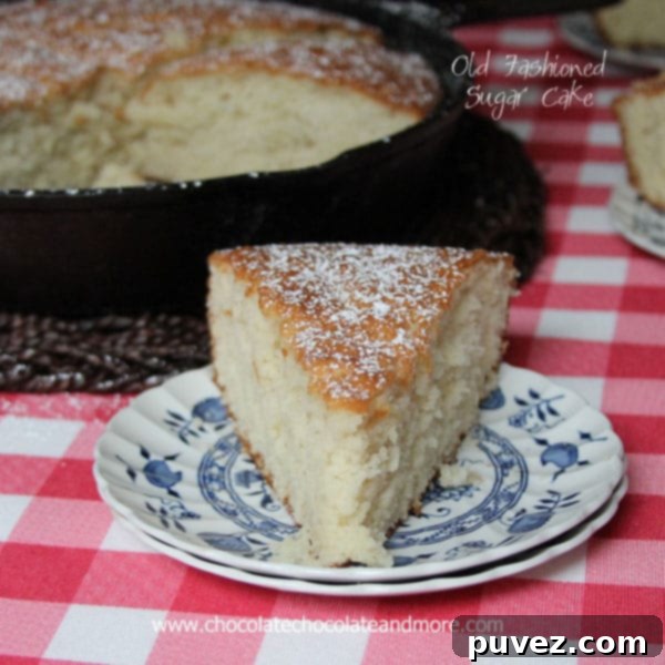 Old Fashioned Sugar Cake baking to golden perfection in a cast iron skillet