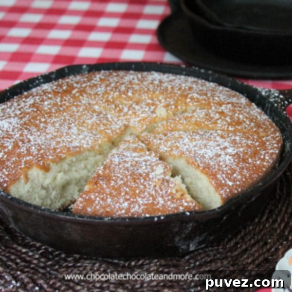 Close-up of the light and tender crumb of the Old Fashioned Sugar Cake