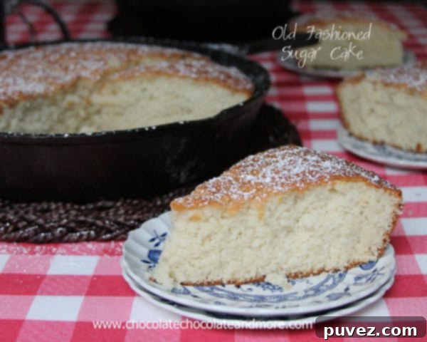 Another view of Old Fashioned Sugar Cake, highlighting its simple elegance