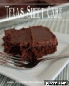 Texas Sheet Cake, a classic chocolate cake with a delicious frosting