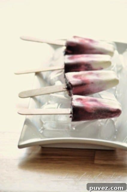 Wholesome Greek Yogurt and Berry Swirl Ice-Blocks, a delicious and healthy frozen dessert.