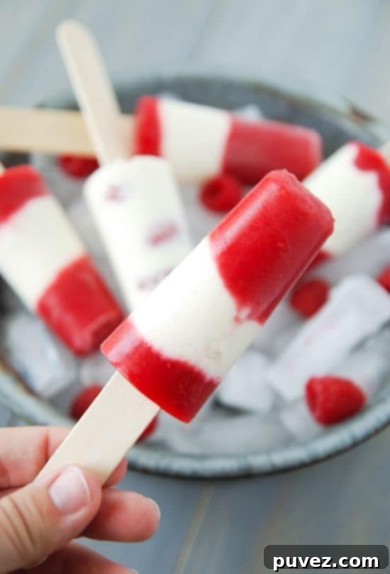 Gourmet Raspberry Cheesecake Popsicles, a creamy and fruity frozen dessert combining rich cheesecake and tart raspberries.