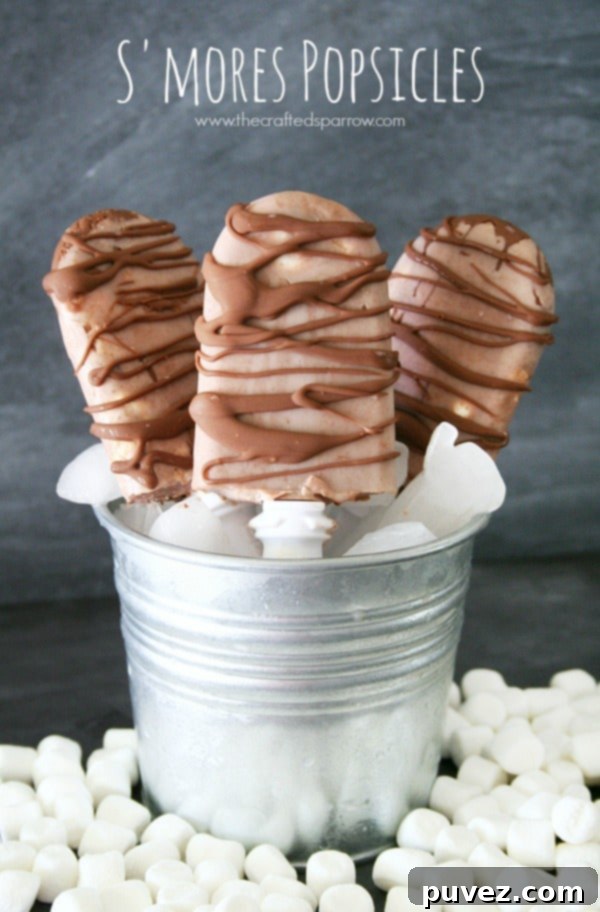 Creative S'mores Popsicles, a unique frozen treat inspired by the classic campfire dessert.