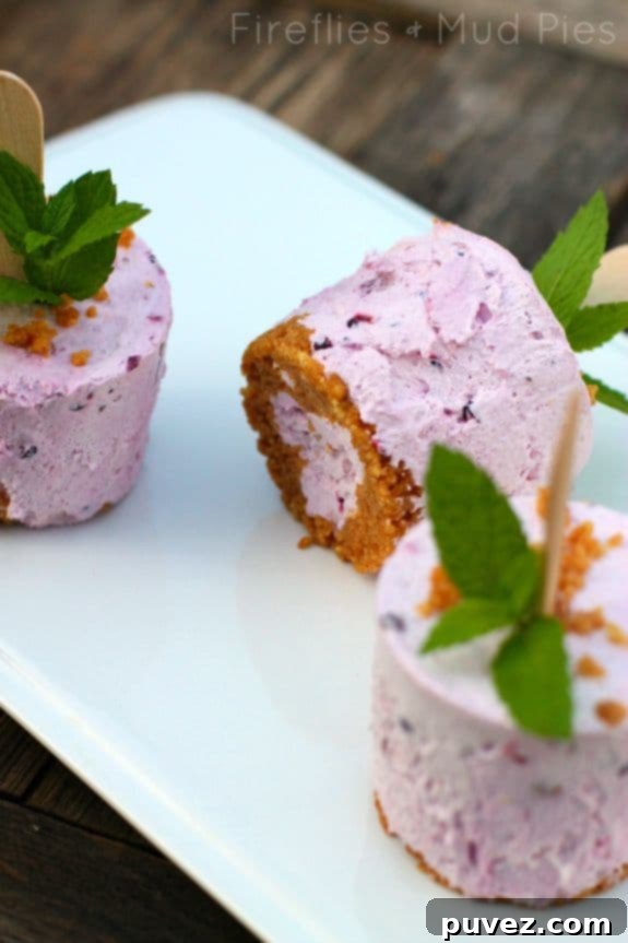 Delicious Blackberry Cheesecake Pops, a creamy and fruity frozen dessert that captures the essence of cheesecake.