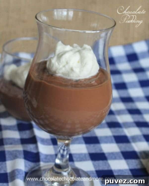 Beautifully presented serving of homemade chocolate pudding, ready for enjoyment.