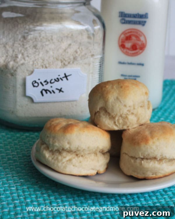 Homemade Biscuit Mix-you never have to buy the box stuff again!