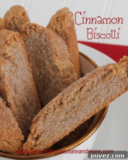 Delicious Cinnamon Sugar Biscotti arranged on a plate, ready to be enjoyed.