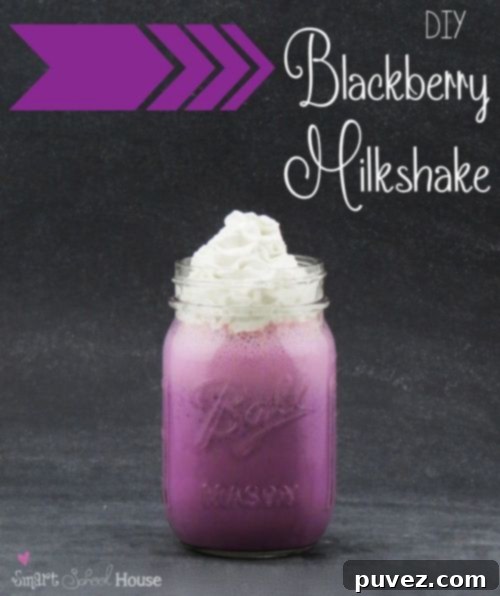 Blackberry Milkshake