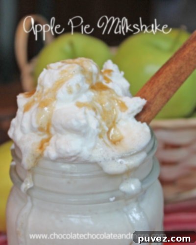 Apple Pie Milkshakes - just like Apple Pie Ala Mode! with a straw. No fork needed.
