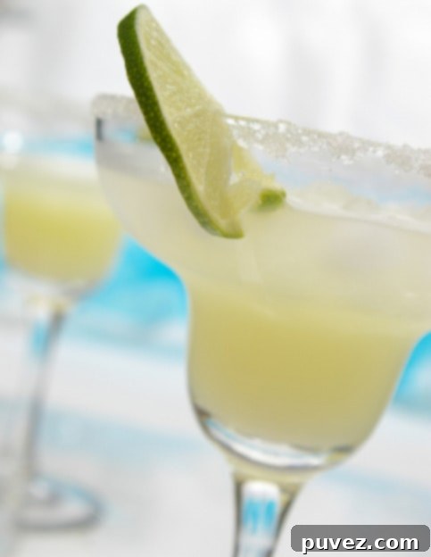 Down and Dirty Frozen Margarita