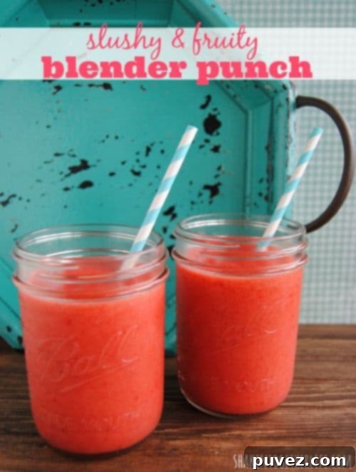 Slushy Fruit Blender Punch