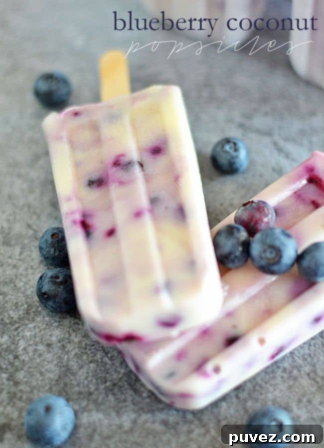 Cool and creamy Blueberry Coconut Popsicles
