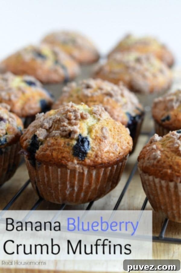 Delicious Banana Blueberry Crumb Muffins, perfect for breakfast or snack