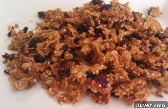Crunchy Coconut Cranberry Granola, a healthy and versatile snack