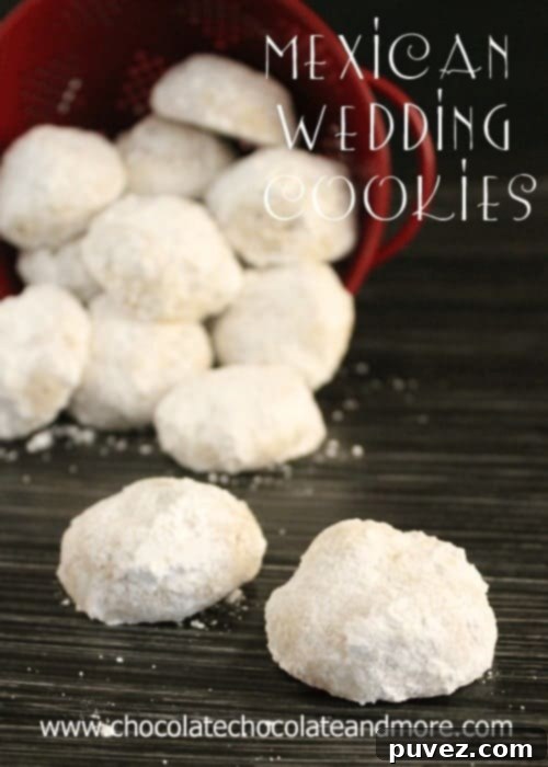 Pecan Fiesta Snowballs 2 Delicious Mexican Wedding Cookies dusted with powdered sugar