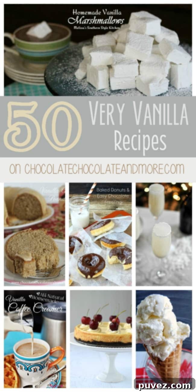 A beautiful array of vanilla desserts including cakes, cheesecakes, cookies, breakfast items, drinks, and frozen treats, showcasing the versatility of vanilla flavor.