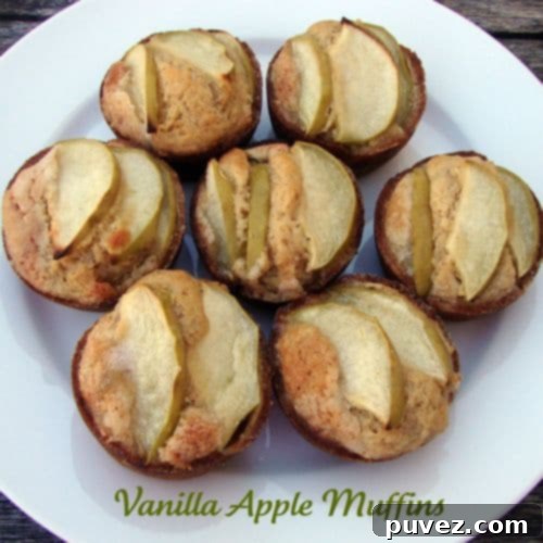 Vanilla Apple Muffins with a rustic crumb topping.